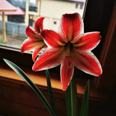 Gospodarstwo agroturystyczne Jugul Taranului Agropensiune Polovragi, Gorj
