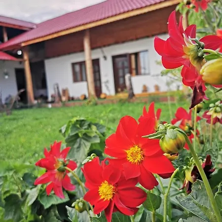 Jugul Taranului Agropensiune Polovragi, Gorj Polovragi